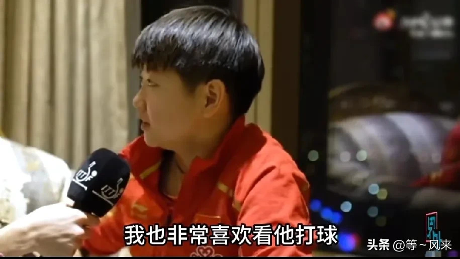 中国乒乓球队险胜法国乒乓球队，波尔爆发神勇的简单介绍