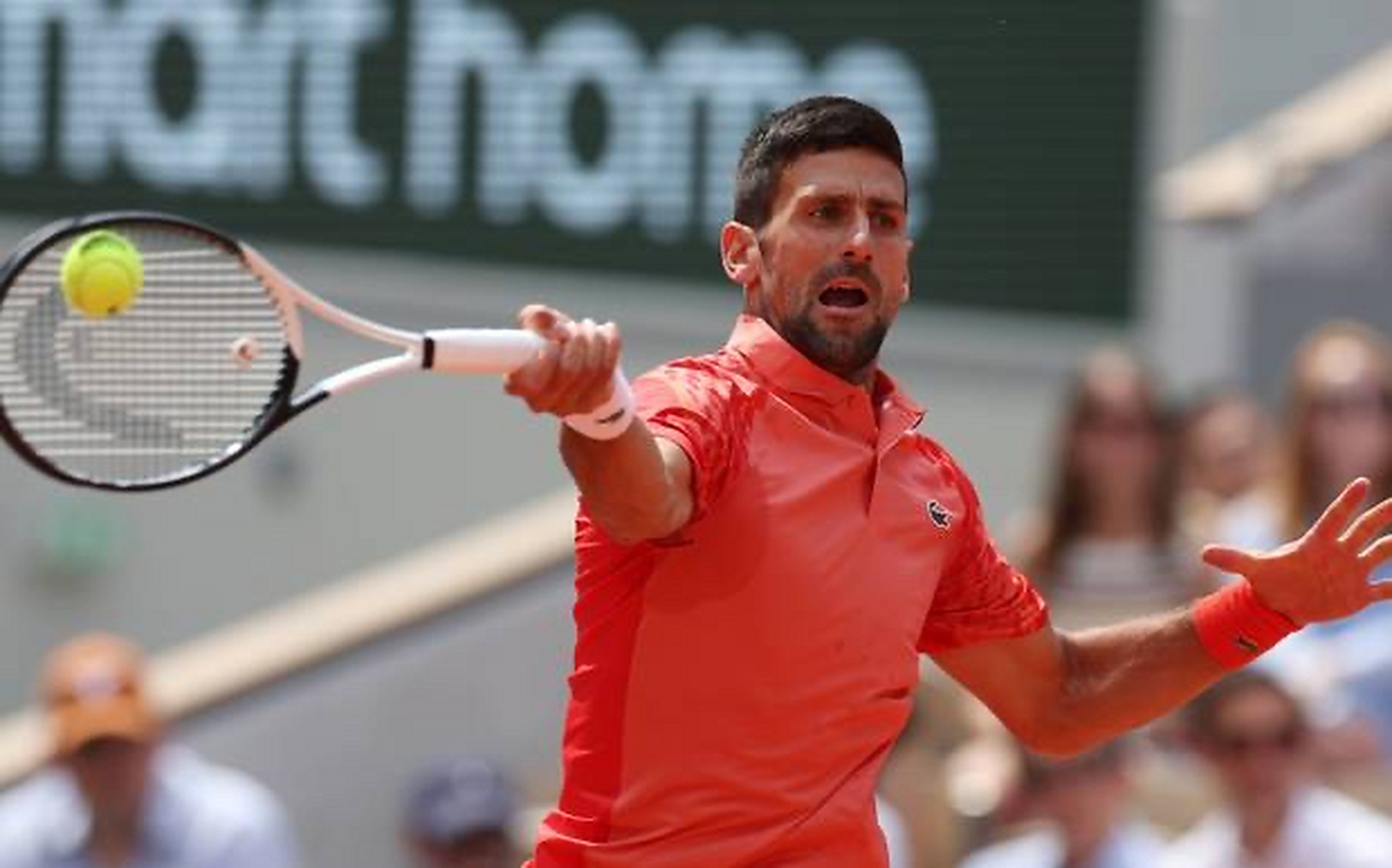 法国网球队横扫意大利网球队,德约科维奇高光表现 法国网球队横扫意大利网球队,德约科维奇高光表现