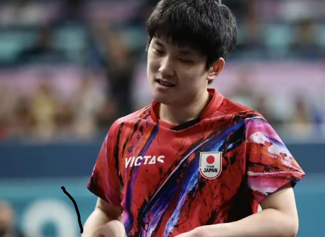 日本乒乓球队横扫比利时乒乓球队,张本智和送出助攻 日本乒乓球队横扫比利时乒乓球队,张本智和送出助攻
