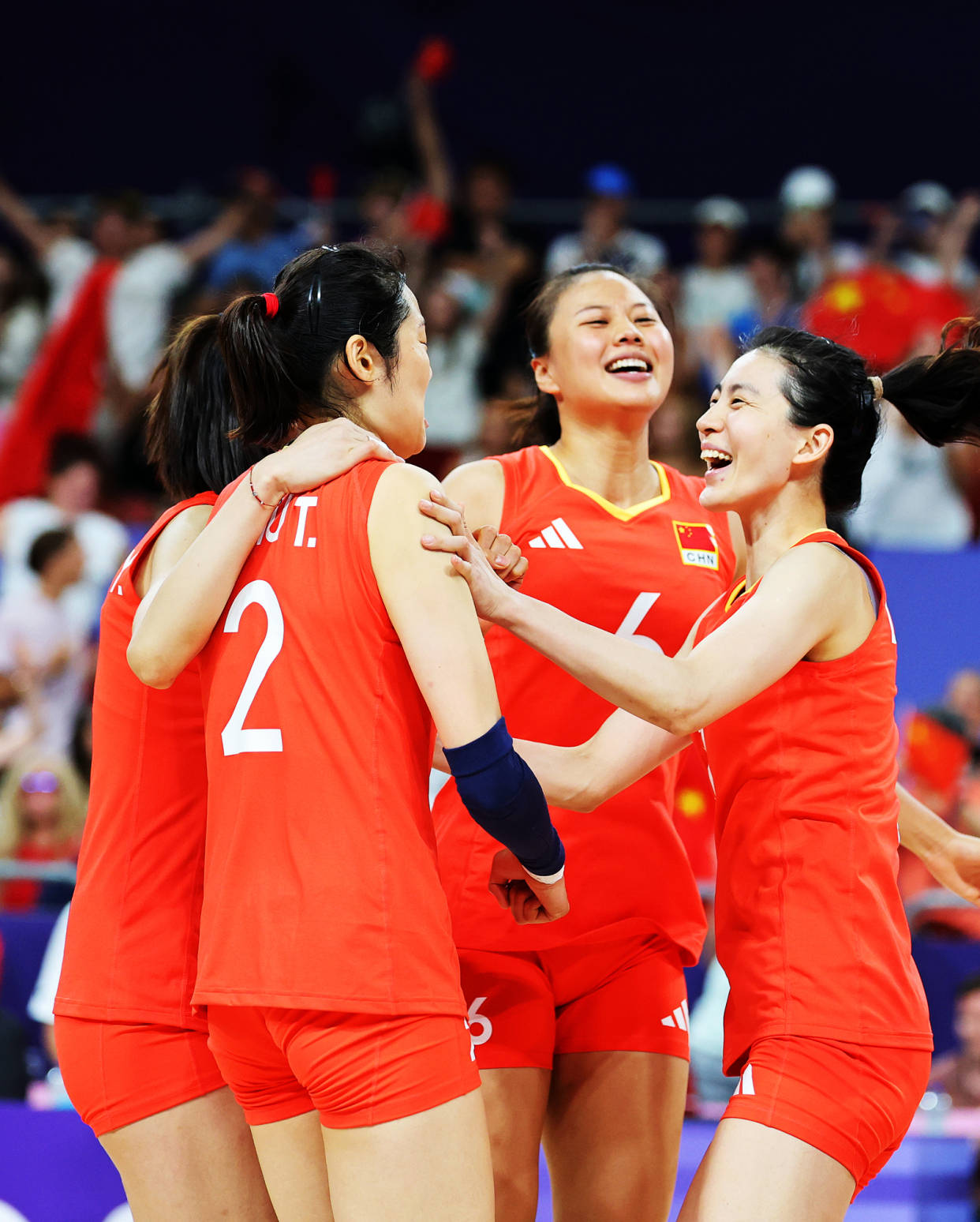 关于排球热度飙升，网友热议不断的信息