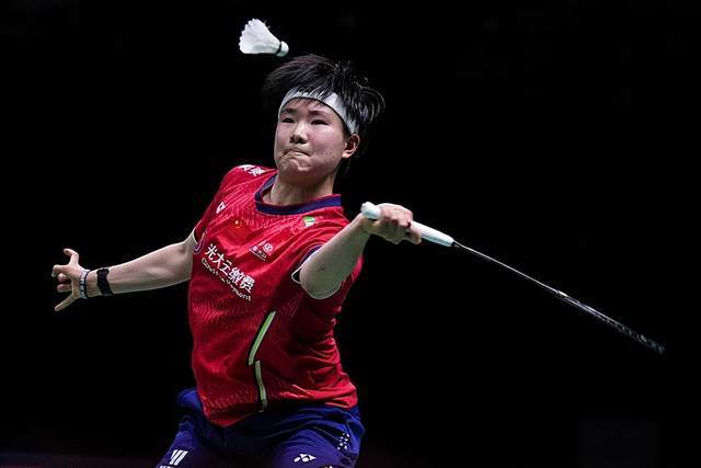 包含法国队绝杀马来西亚队，戴资颖状态火热的词条