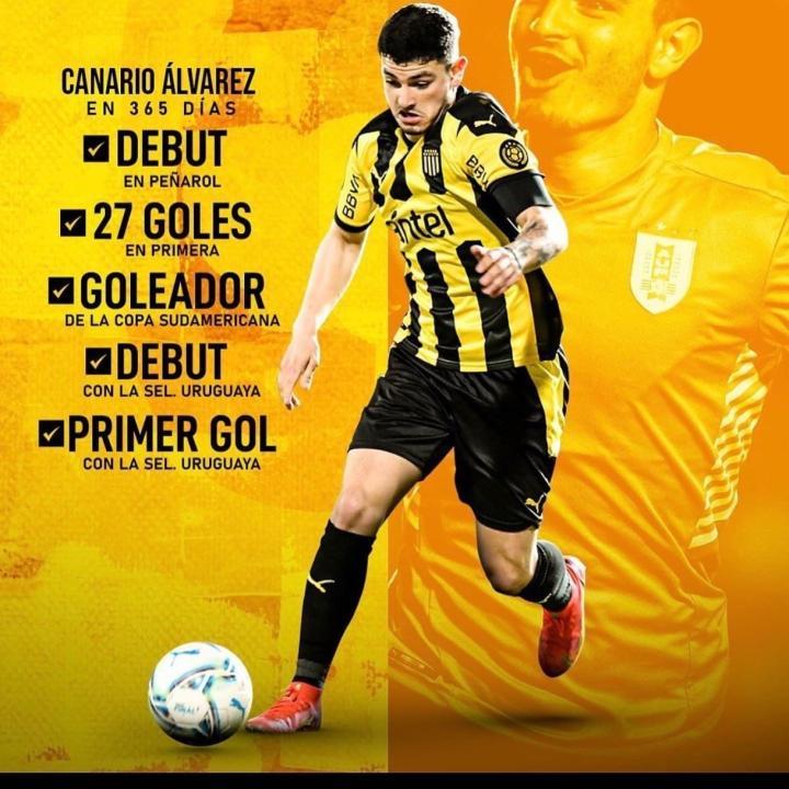 荷兰翻盘乌拉圭,阿尔瓦雷斯扛起全队 荷兰翻盘乌拉圭,阿尔瓦雷斯扛起全队