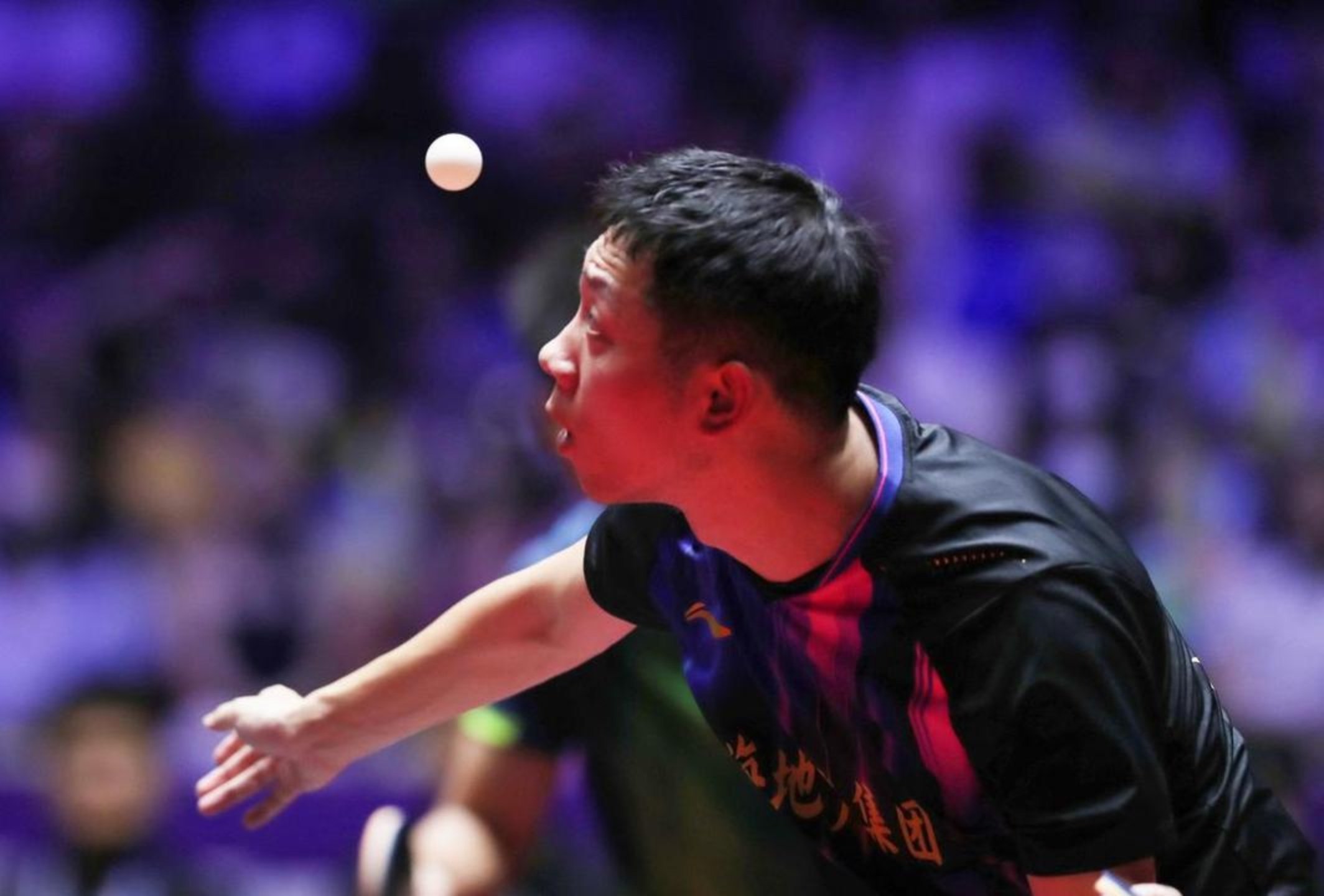 德国队轻取葡萄牙队,许昕惊艳四座 德国队轻取葡萄牙队,许昕惊艳四座