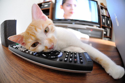 维也纳战歌，蒂姆带队翻盘，绝境中的土壤在脉搏中呐喊