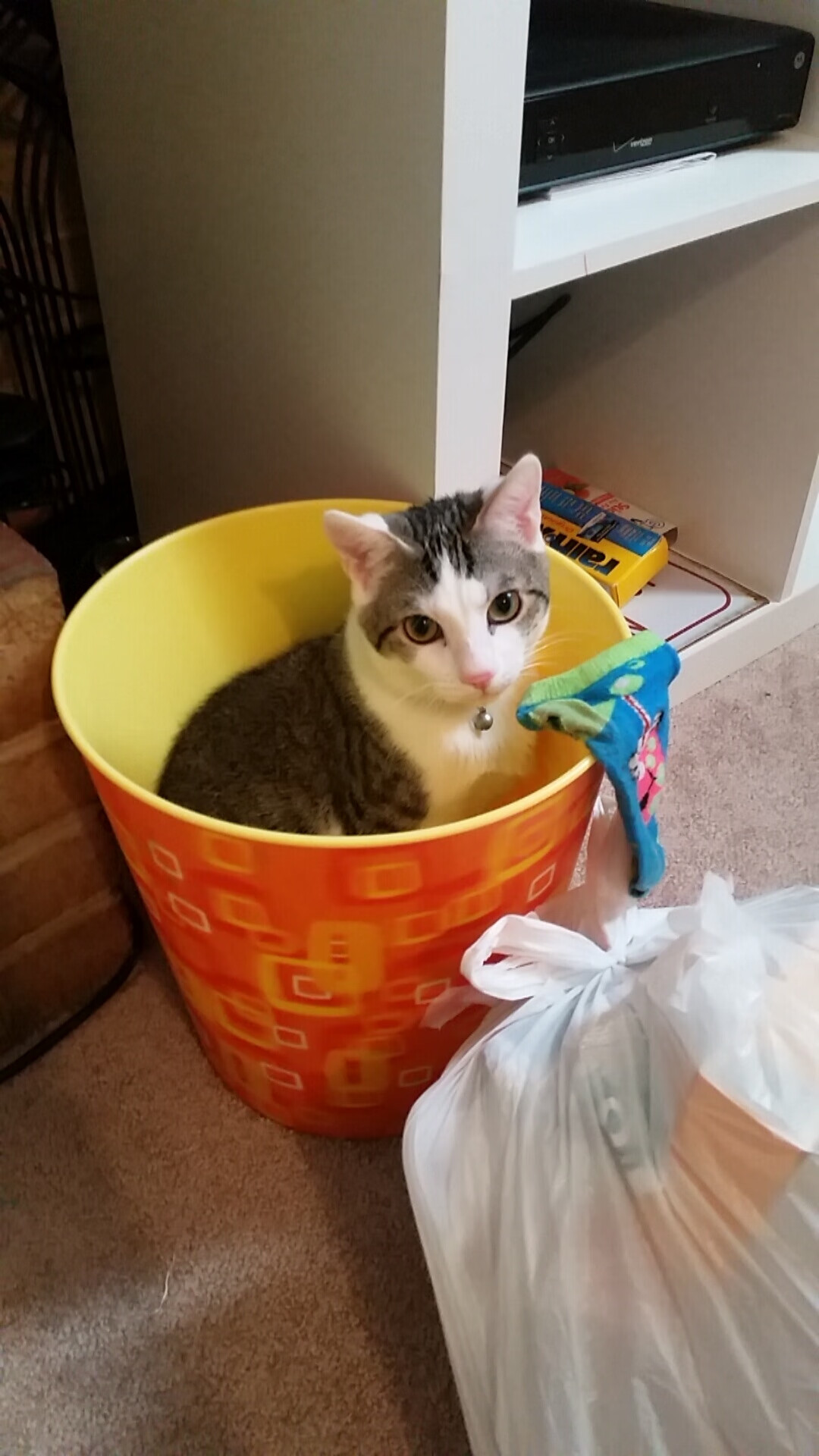 熔炉中的火种，穆雷用温网式搏杀点燃年终总决赛