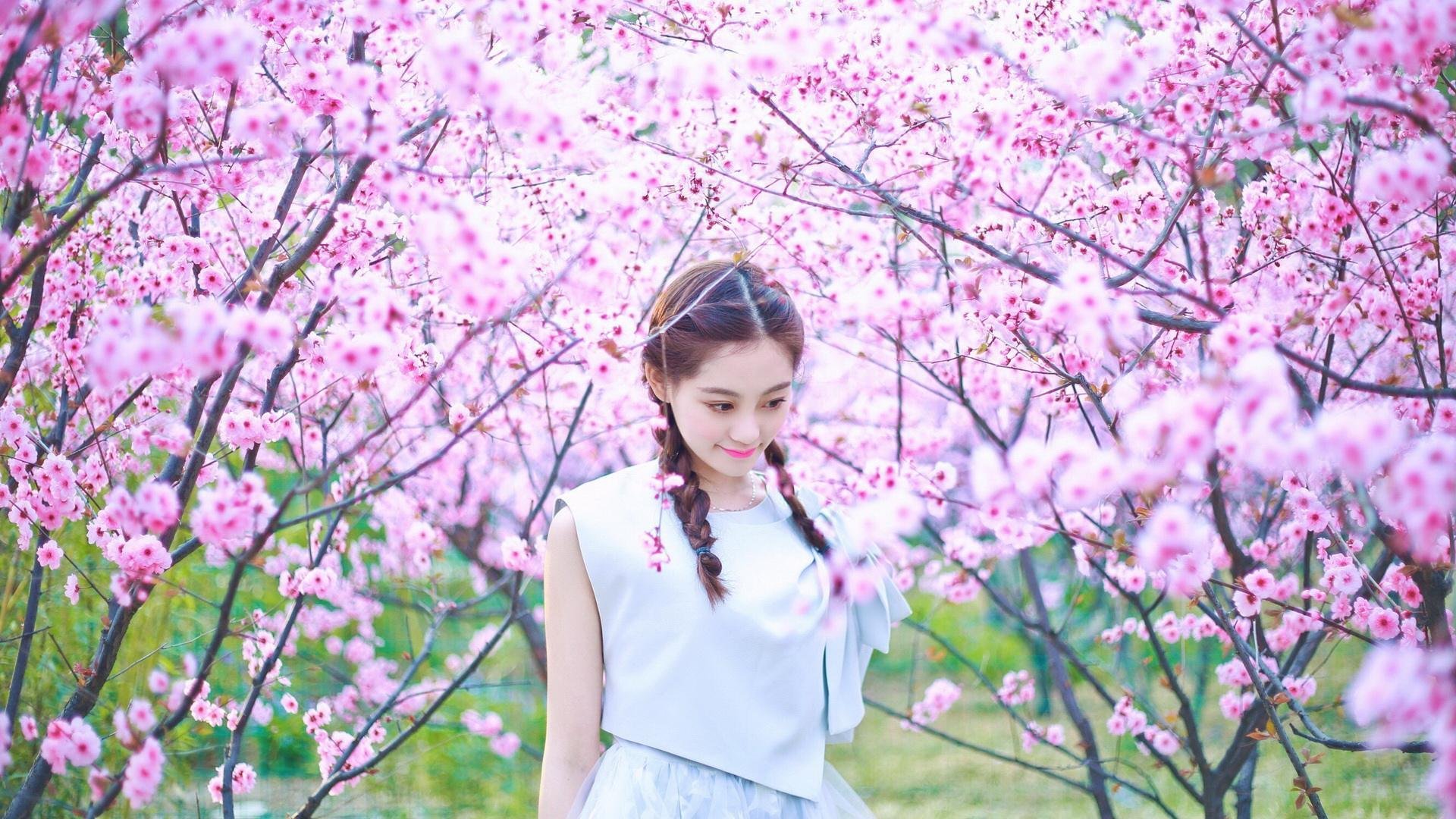 指挥家的魔杖，恩佐如何用玻利维亚交响乐击败爱尔兰