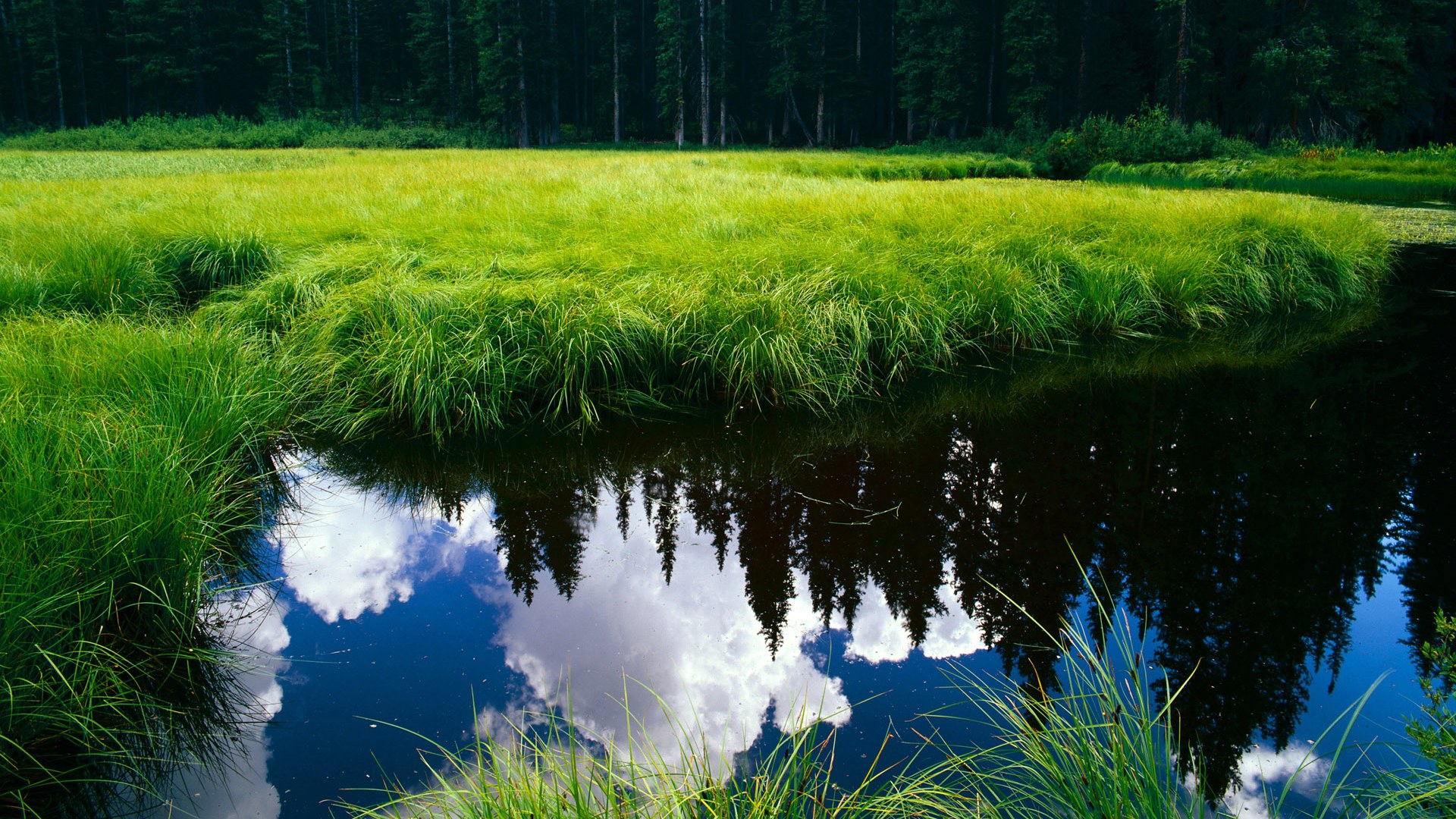 狂喜与冷峻,奥运足球史上两场无法复制的逆转