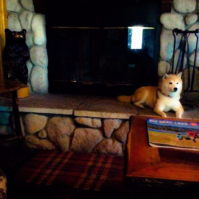 比利时对阵美国，卡塞米罗关键进球定乾坤