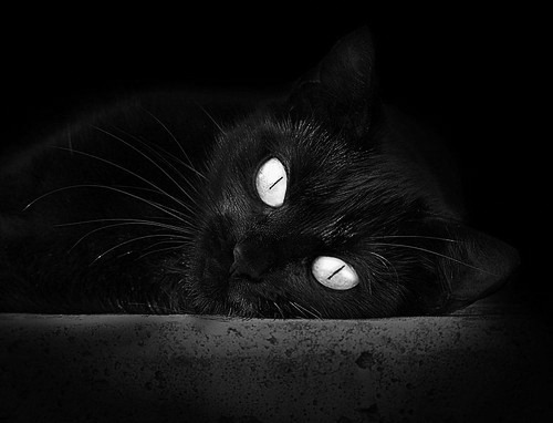 高原烽烟,当欧冠战歌在南美之巅响起,加纳如何被玻利维亚主场魔法粉碎?