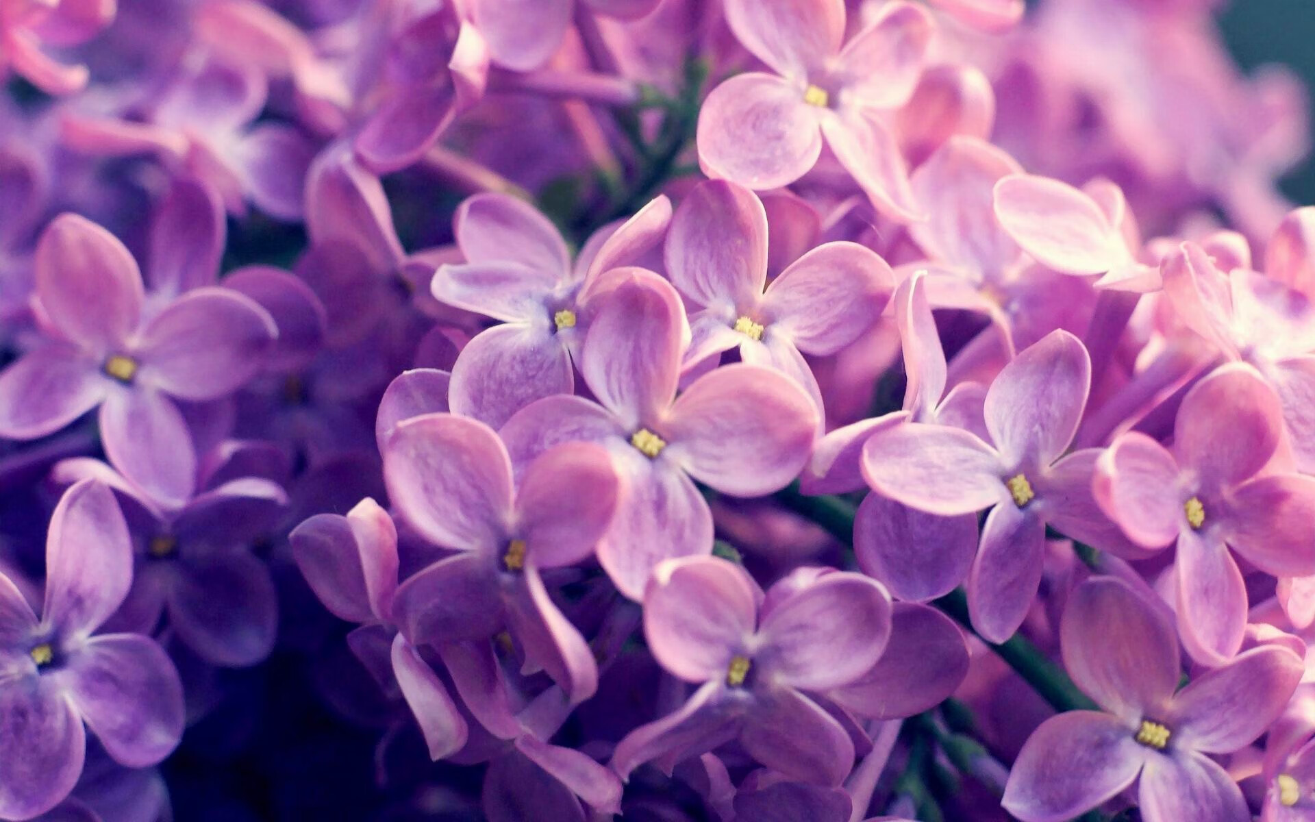 绿洲中的沙漏，切特如何用节奏魔法让新疆队肢解马刺的进攻体系