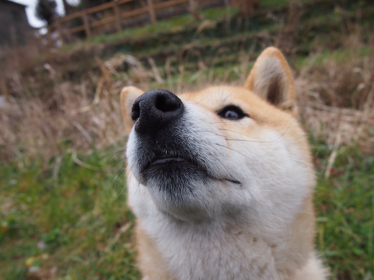 末节风暴，福克斯用三分钟沸腾太原，撕碎步行者双线溃败的迷梦