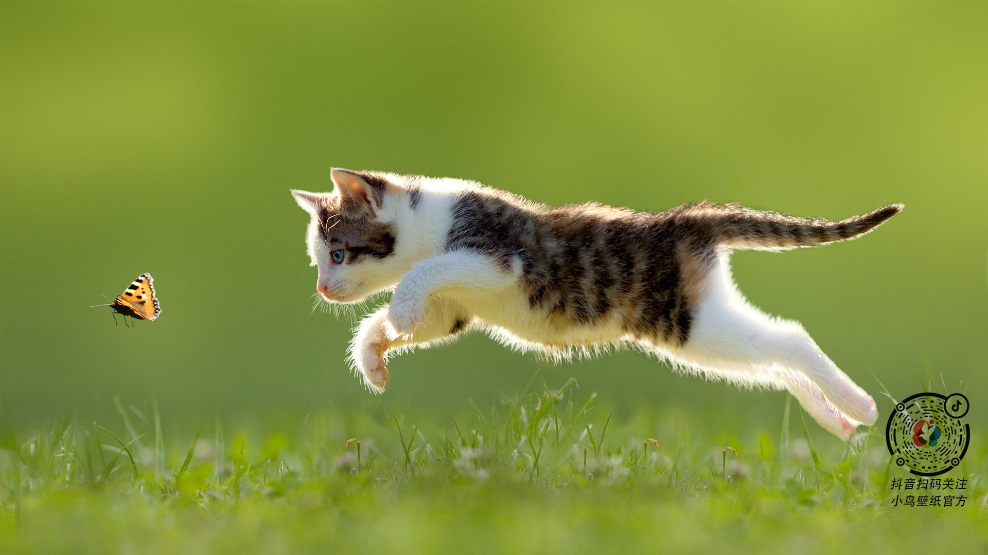 极限引擎，当赛道嘶吼与球场叹息在同一夜共振