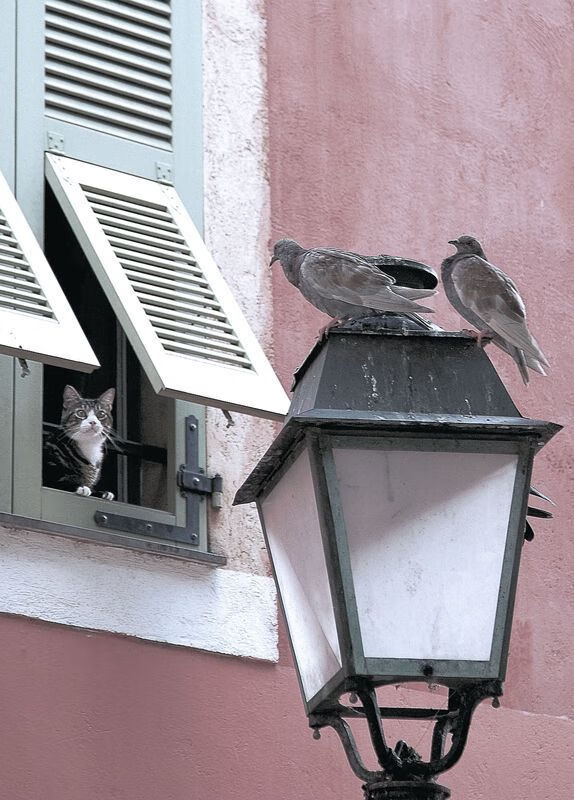 绿茵交响曲，西甲国家德比的焦灼与日本加时胜巴西的奇迹回响