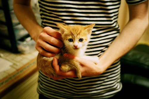 神谕般的胜利，希腊式防守锁死拜仁巨人，新星帕尔默化身现代英雄