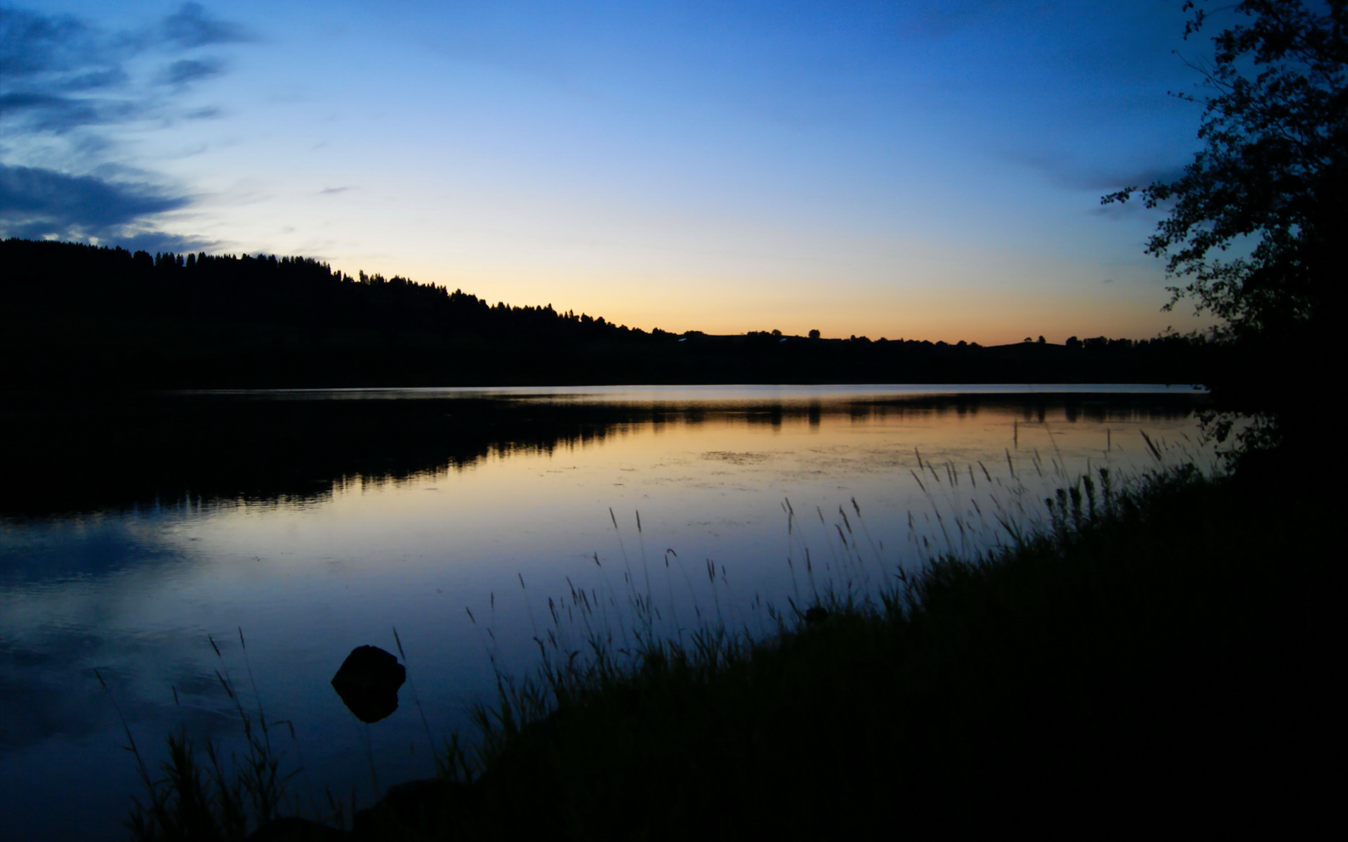 绝杀与救赎，勒沃库森险胜尼斯，金玟哉用头皮捍卫防线