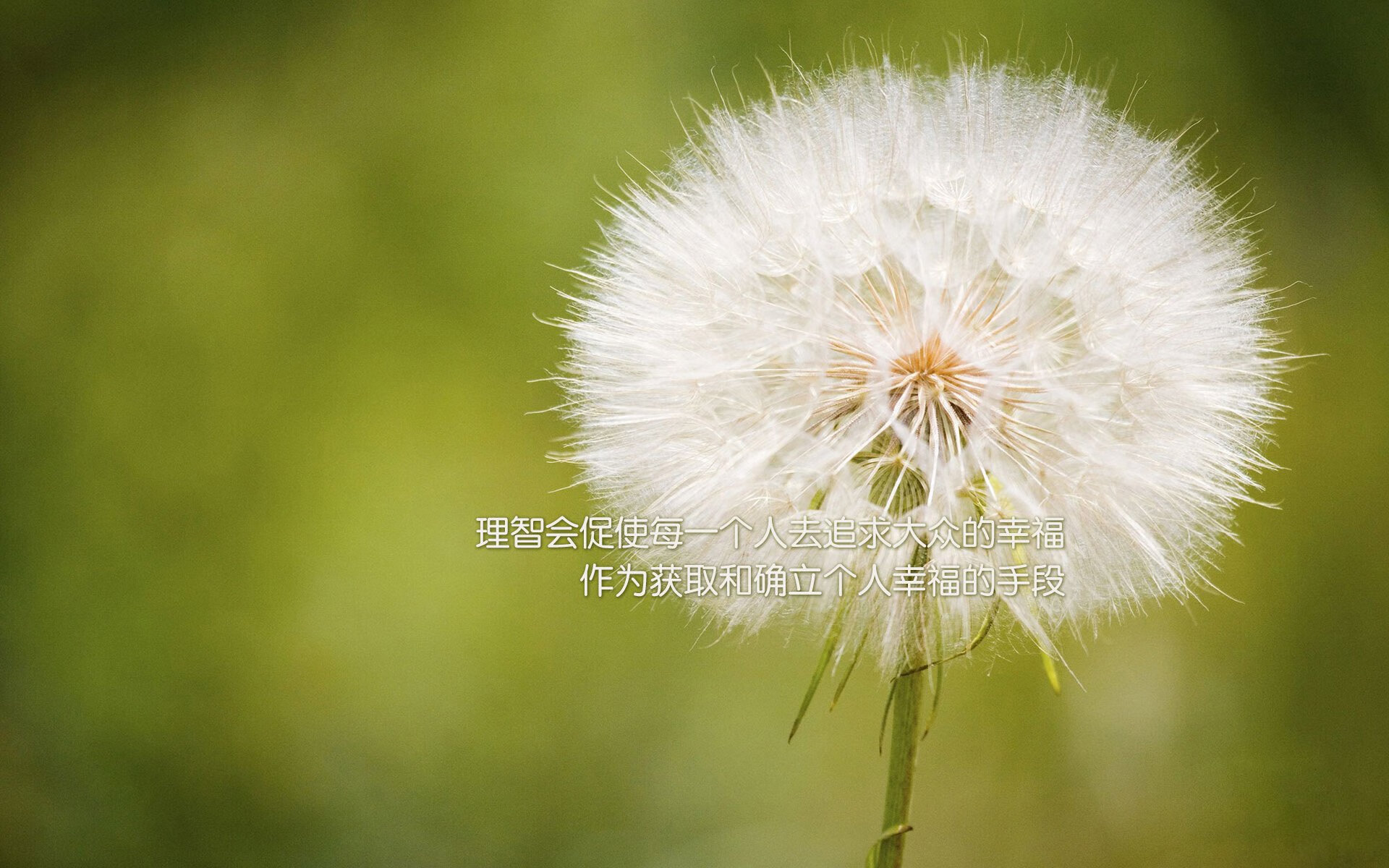 当德甲争冠战遇上CBA奇迹夜，体育世界里没有如果的唯一性