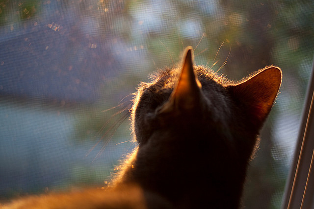 欧冠式绞杀！76人攻克迈阿密 恩比德哈登演绎篮球版伯纳乌奇迹